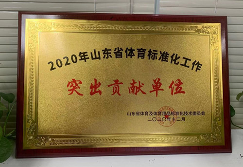 恭喜VSPORTS体育官网体育荣获山东省体育及体育用品标准化技术委员会授予“突出贡献单位”荣誉称号