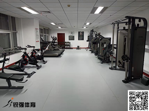 济南某集团采购的VSPORTS体育官网体育提供的健身器材