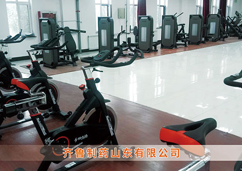 ​VSPORTS体育官网体育为齐鲁制药呼和浩特分公司打造健身房